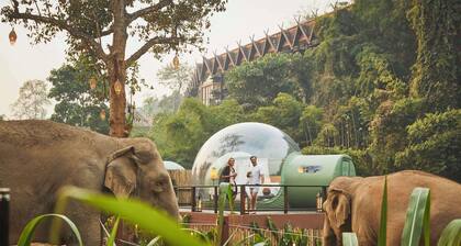 Anantara Golden Triangle Elephant Camp & Resort