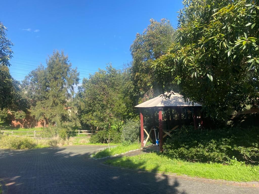 Mt Waverley Townhouses — image 27