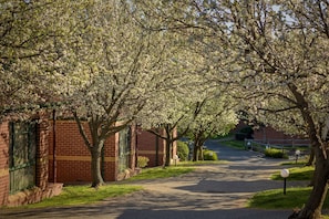 A tree-lined street with brick buildings, a clear sky, and a paved road.