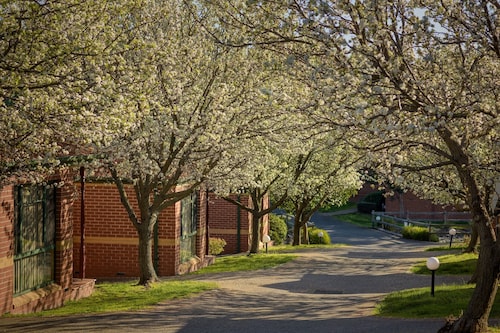Mt Waverley Townhouses
