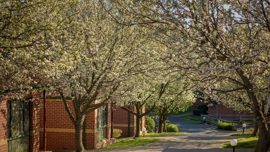 Mt Waverley Townhouses