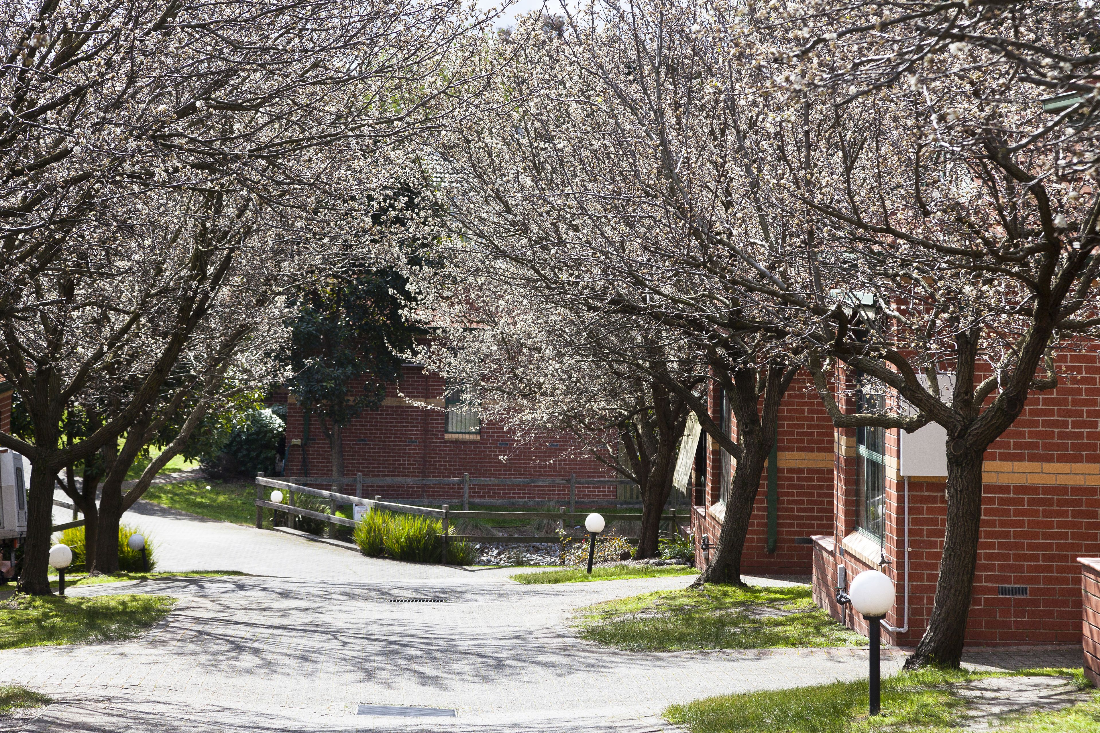 Mt Waverley Townhouses — image 29