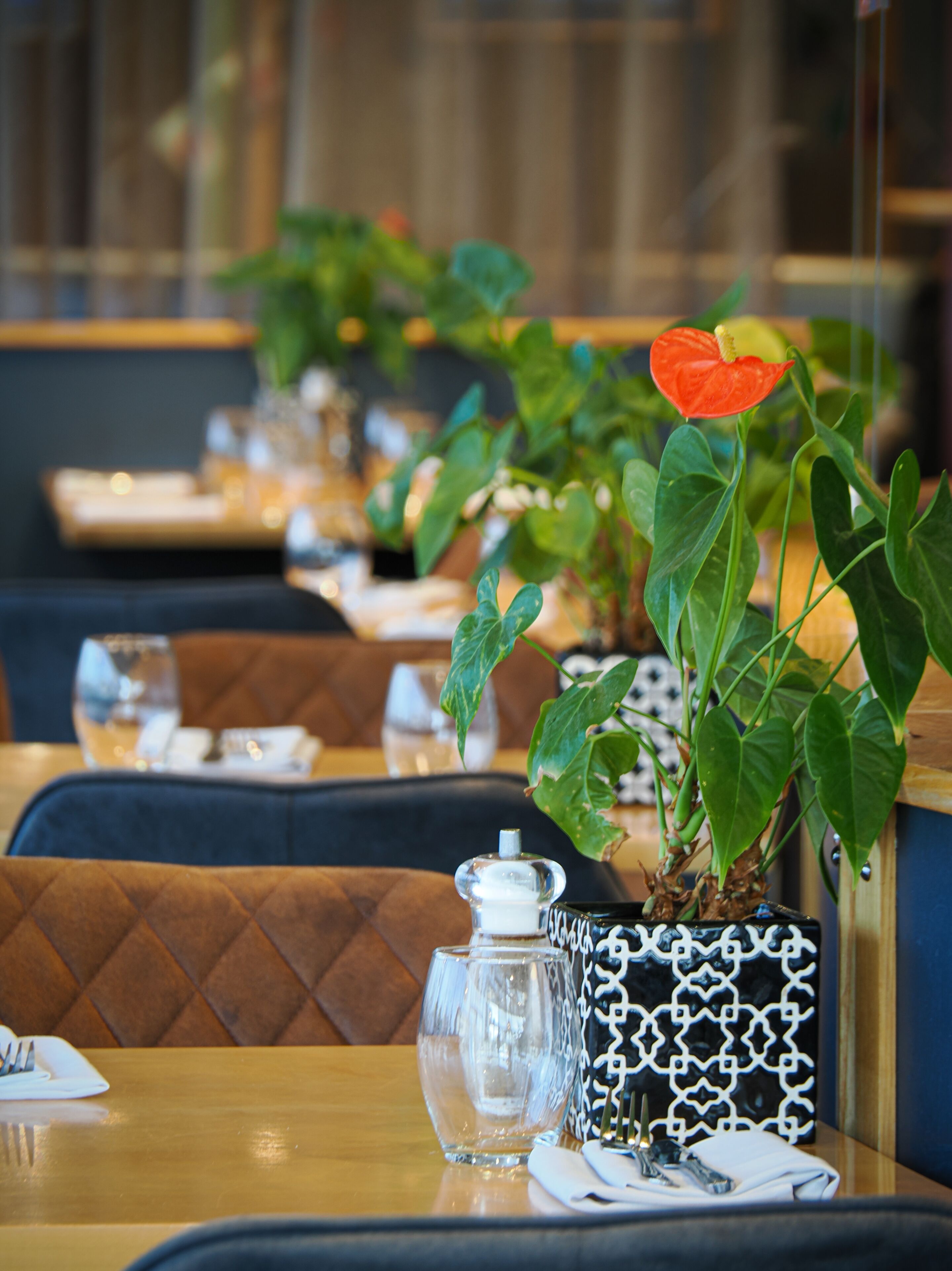 Ein Restaurant mit gedecktem Tisch, einer Zimmerpflanze mit roter Blüte und einer verzierten Vase.