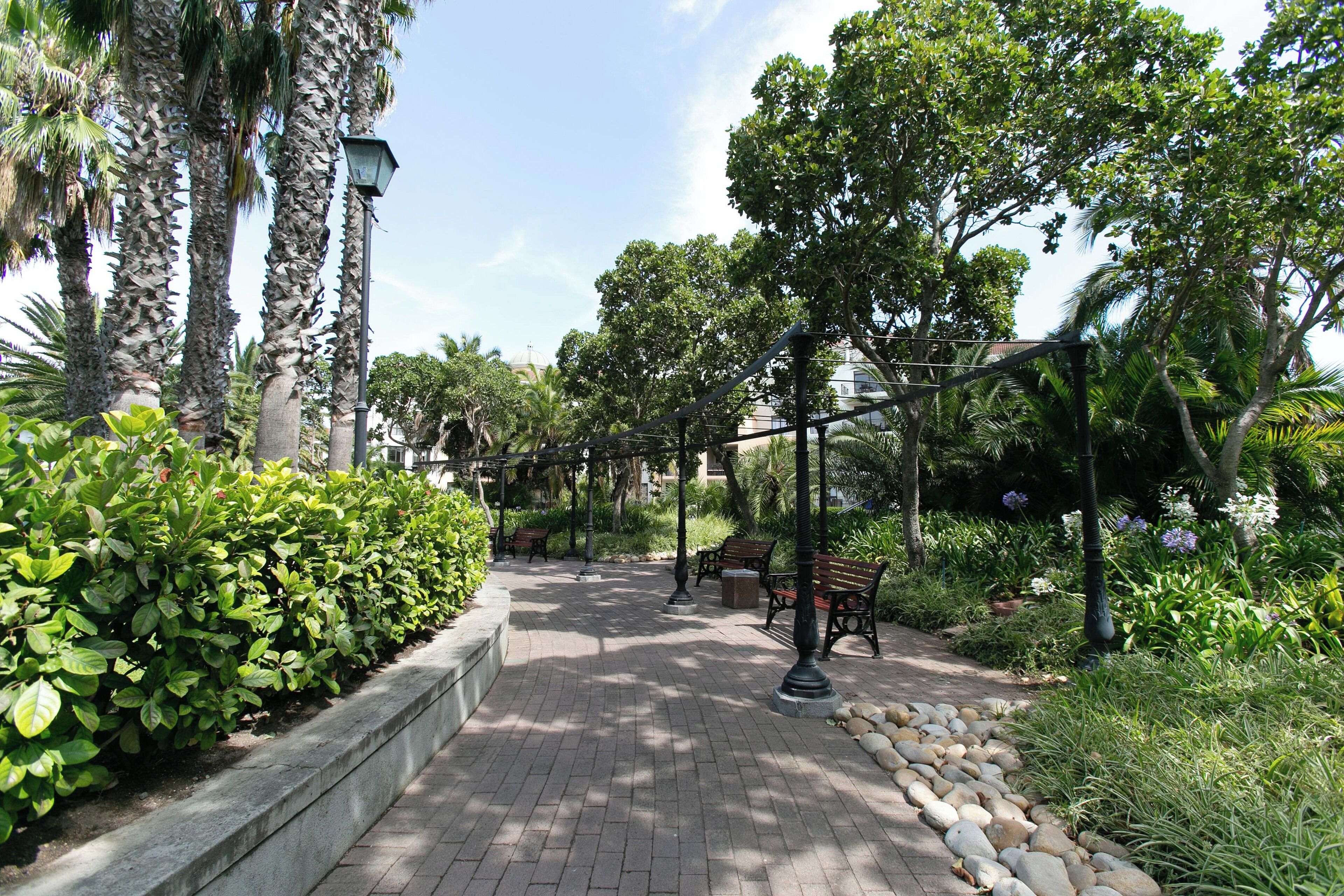 Photo - Island Club Hotel & Apartments