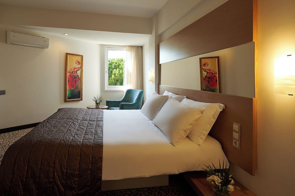 Een hotelkamer met een groot bed, een flatscreen televisie aan de muur, een raam met gordijnen en een kleine tafel met een plant.