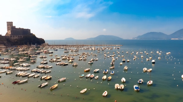 Marina