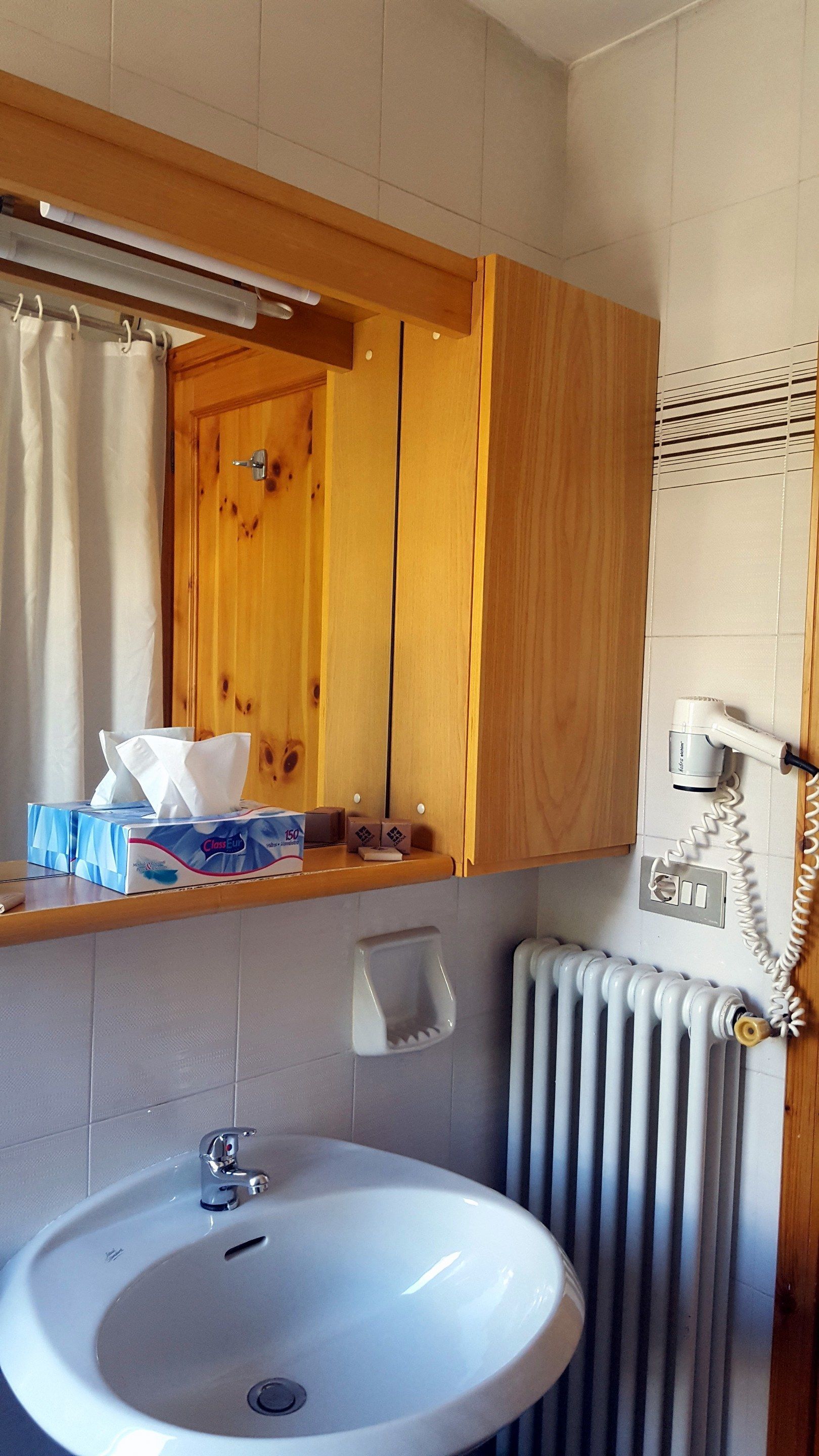 combined shower/bathtub, free toiletries, hair dryer, towels