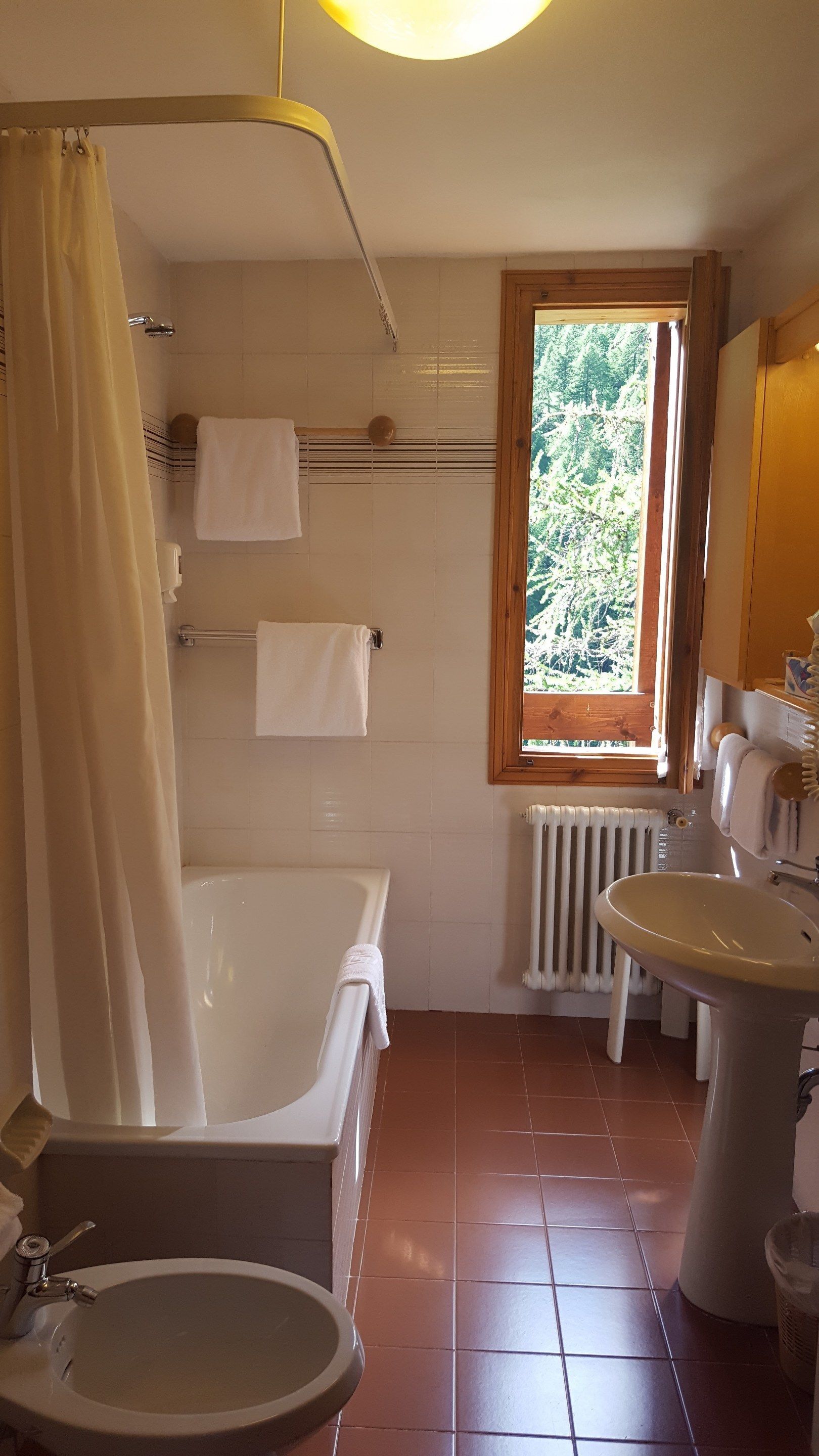 combined shower/bathtub, free toiletries, hair dryer, towels