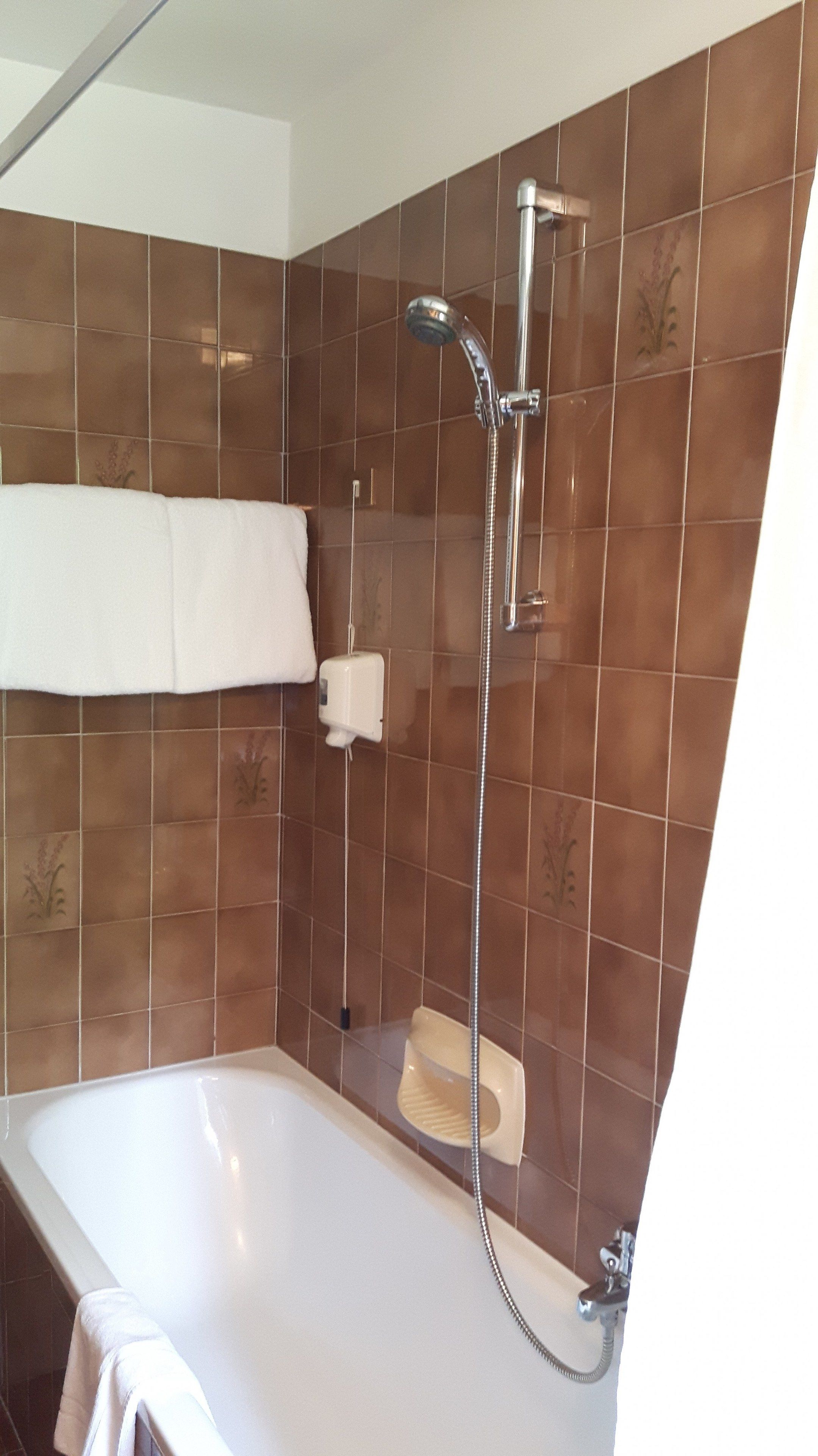 combined shower/bathtub, free toiletries, hair dryer, towels