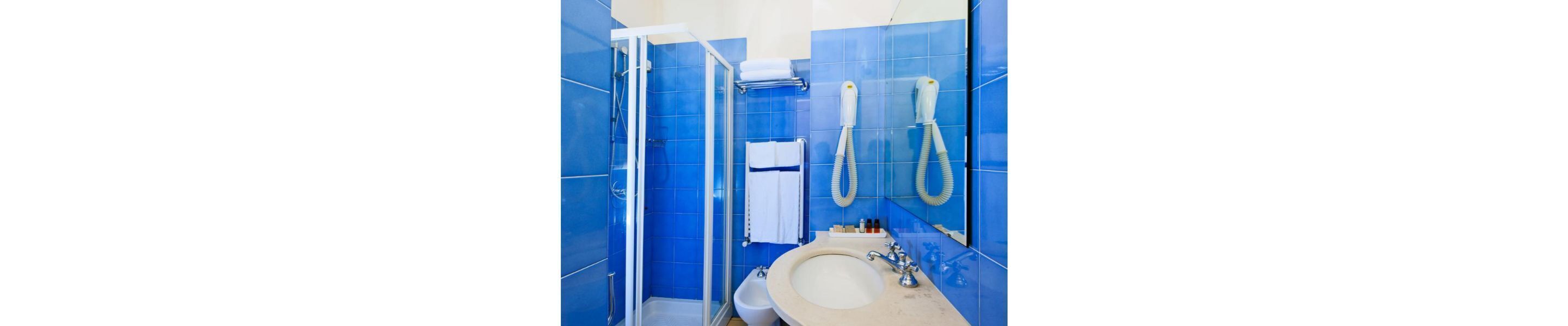 shower, free toiletries, hair dryer, bidet