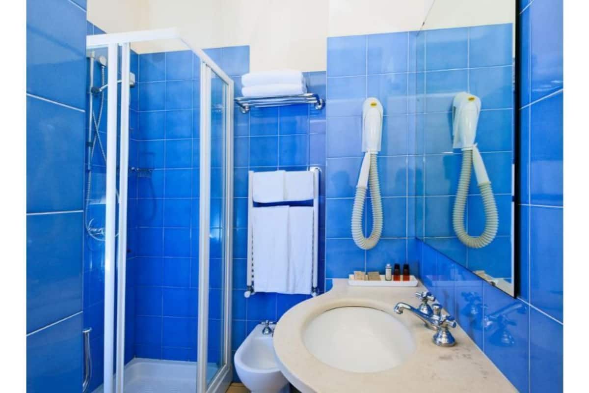 shower, free toiletries, hair dryer, bidet