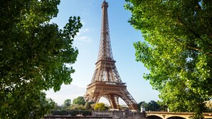 La Torre Eiffel rodeada de árboles verdes frondosos y un puente sobre el agua.