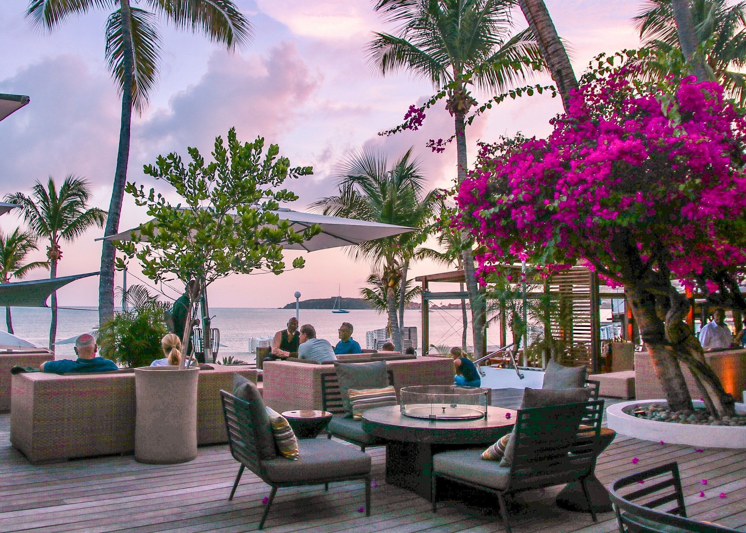 An outdoor seating area with lounge chairs and a table, surrounded by palm trees and bougainvillea flowers, overlooking a body of water.