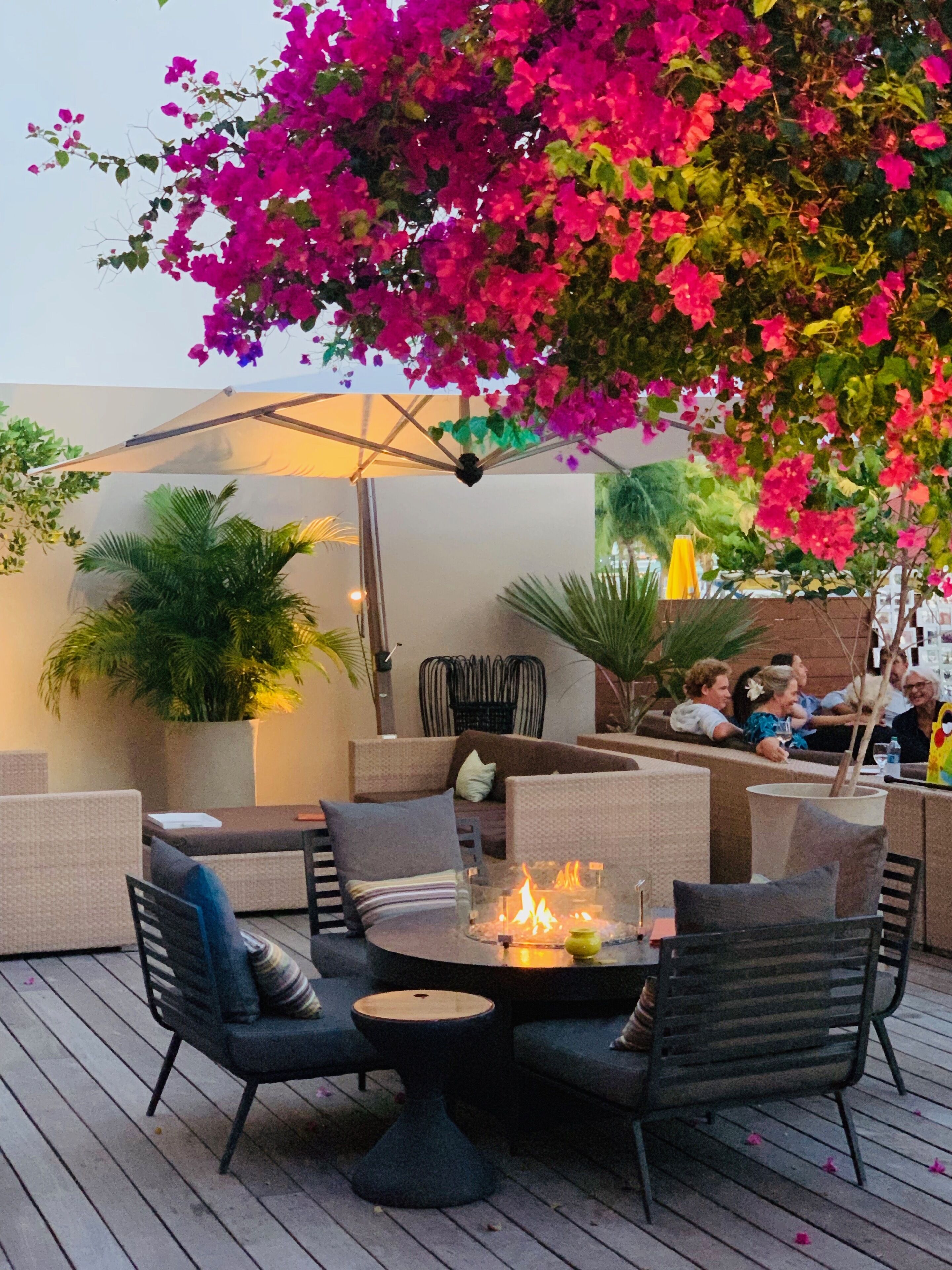 An outdoor seating area with a fire table, cushioned chairs, and potted plants.