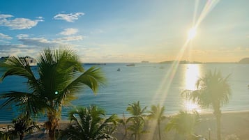 A beach with palm trees and a calm sea.