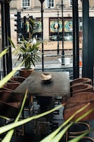 Un área de estar interior con una mesa de madera, sillas y una planta en maceta.
