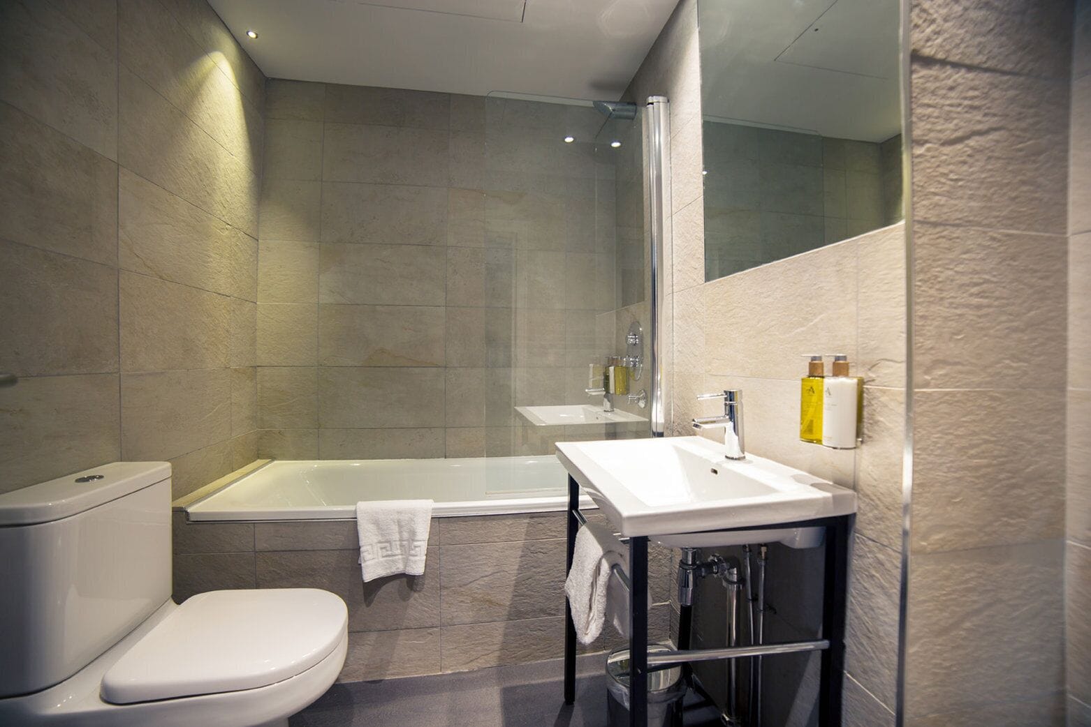 combined shower/bathtub, free toiletries, hair dryer, towels