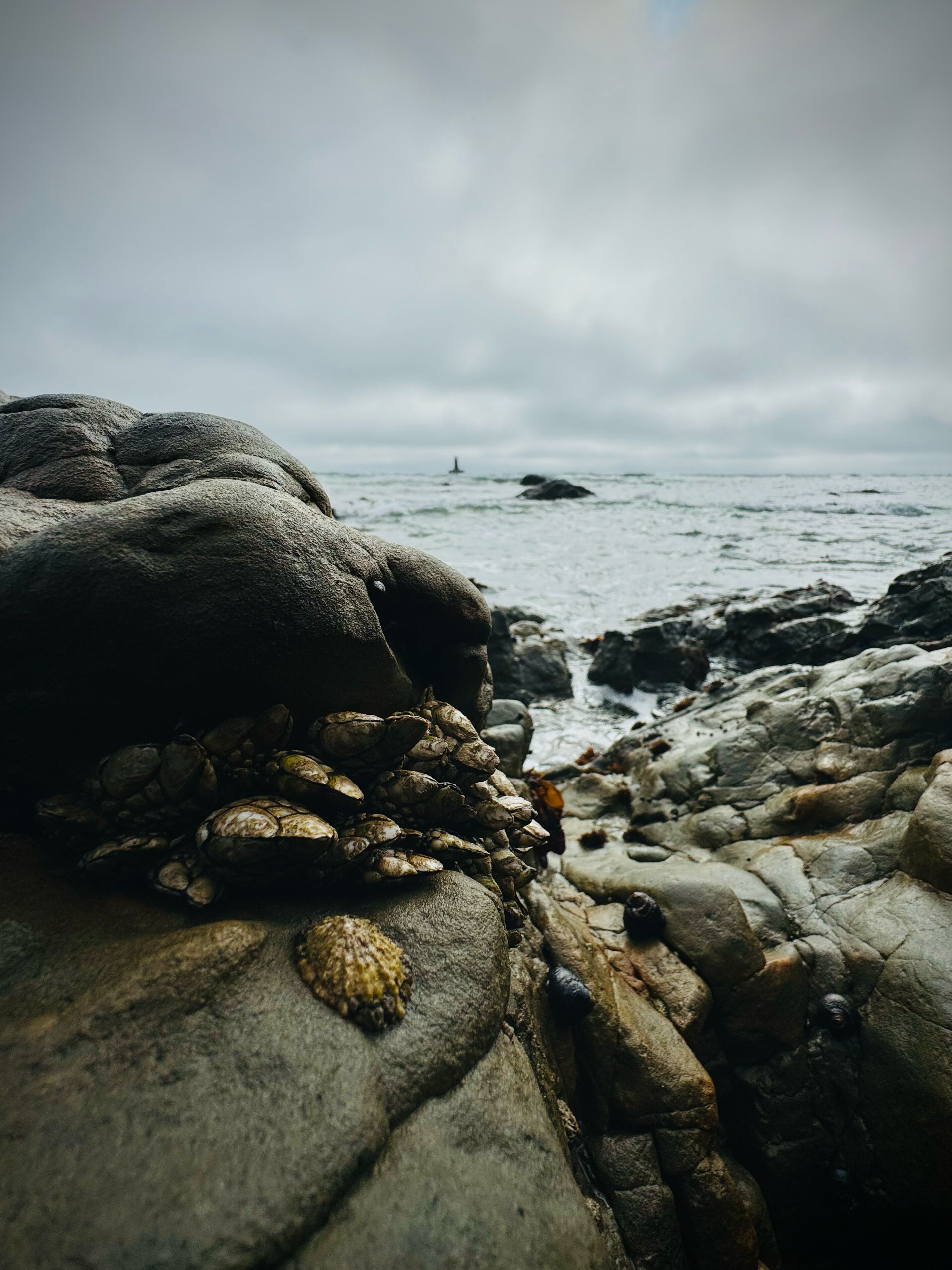 beach nearby, white sand