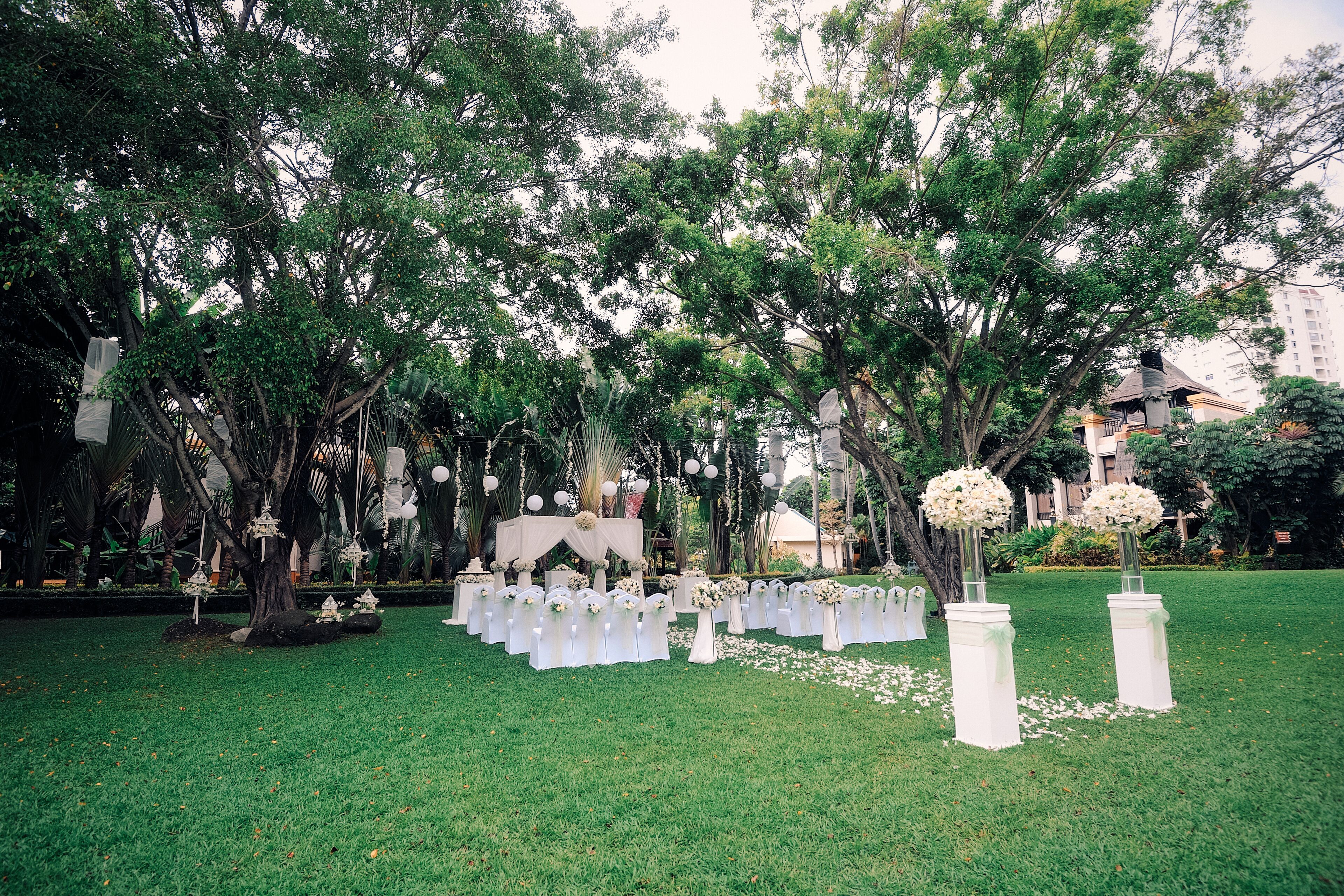 outdoor wedding area