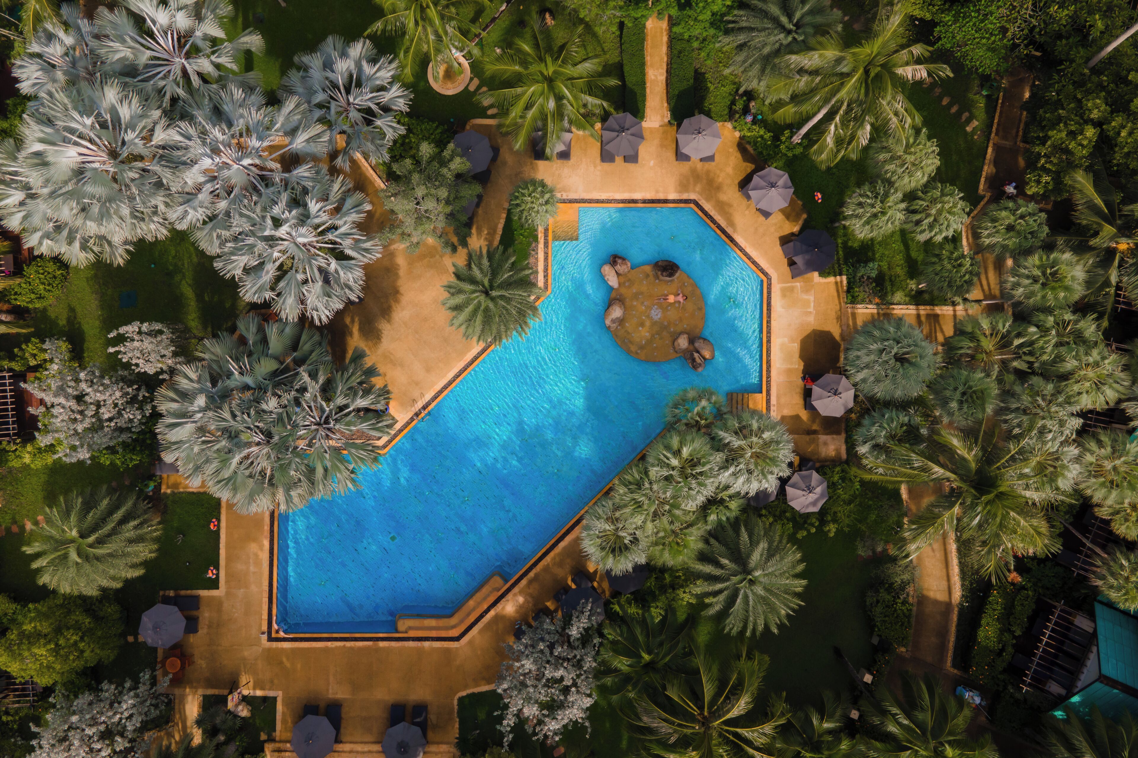 An aerial view of a swimming pool surrounded by palm trees and lounge chairs.