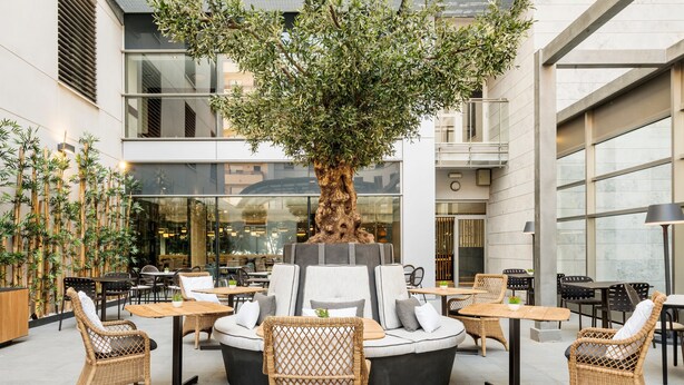 Un espacio interior moderno con mobiliario de mimbre, un árbol grande y una pared de vidrio.