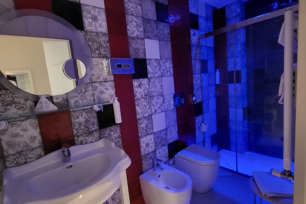 shower, free toiletries, hair dryer, bidet