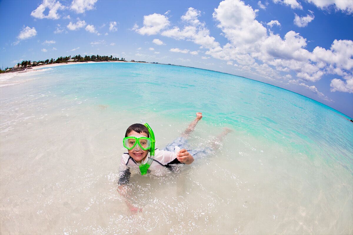 A person snorkeling in clear turquoise water with a beach and palm trees in the background.