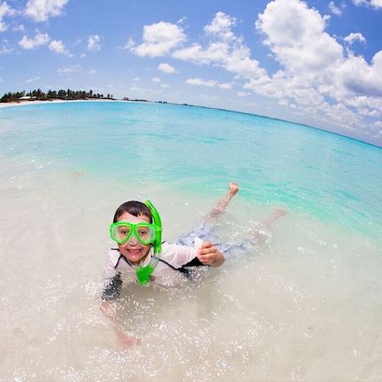 A person snorkeling in clear turquoise water with a beach and palm trees in the background.