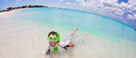 A person snorkeling in clear turquoise water with a beach and palm trees in the background.