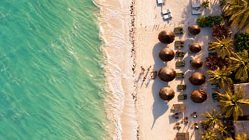 Luchtbeeld van een strand met een rij palmbomen, strandstoelen en enkele personen.
