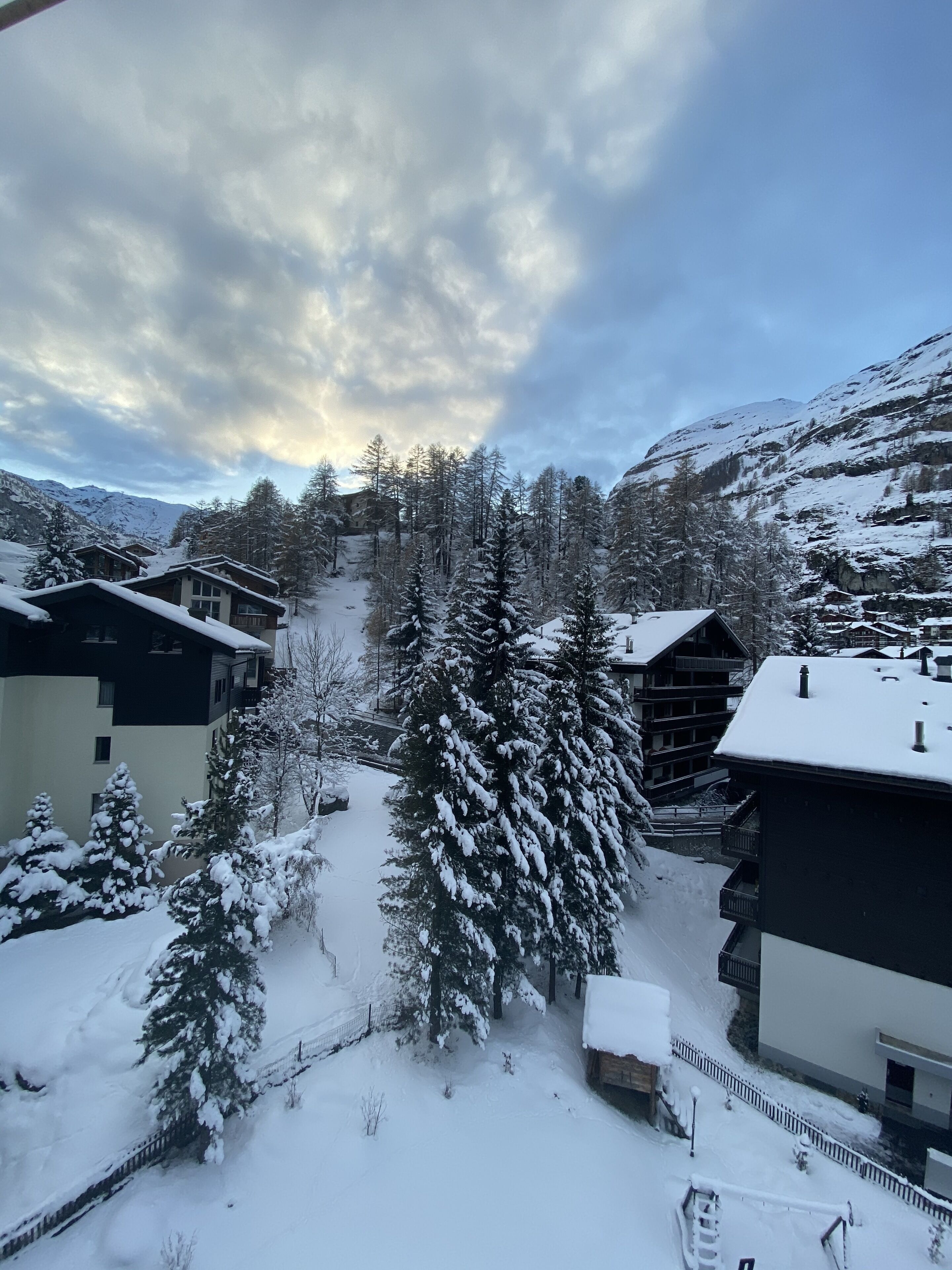 standard quadruple room, balcony | view from room