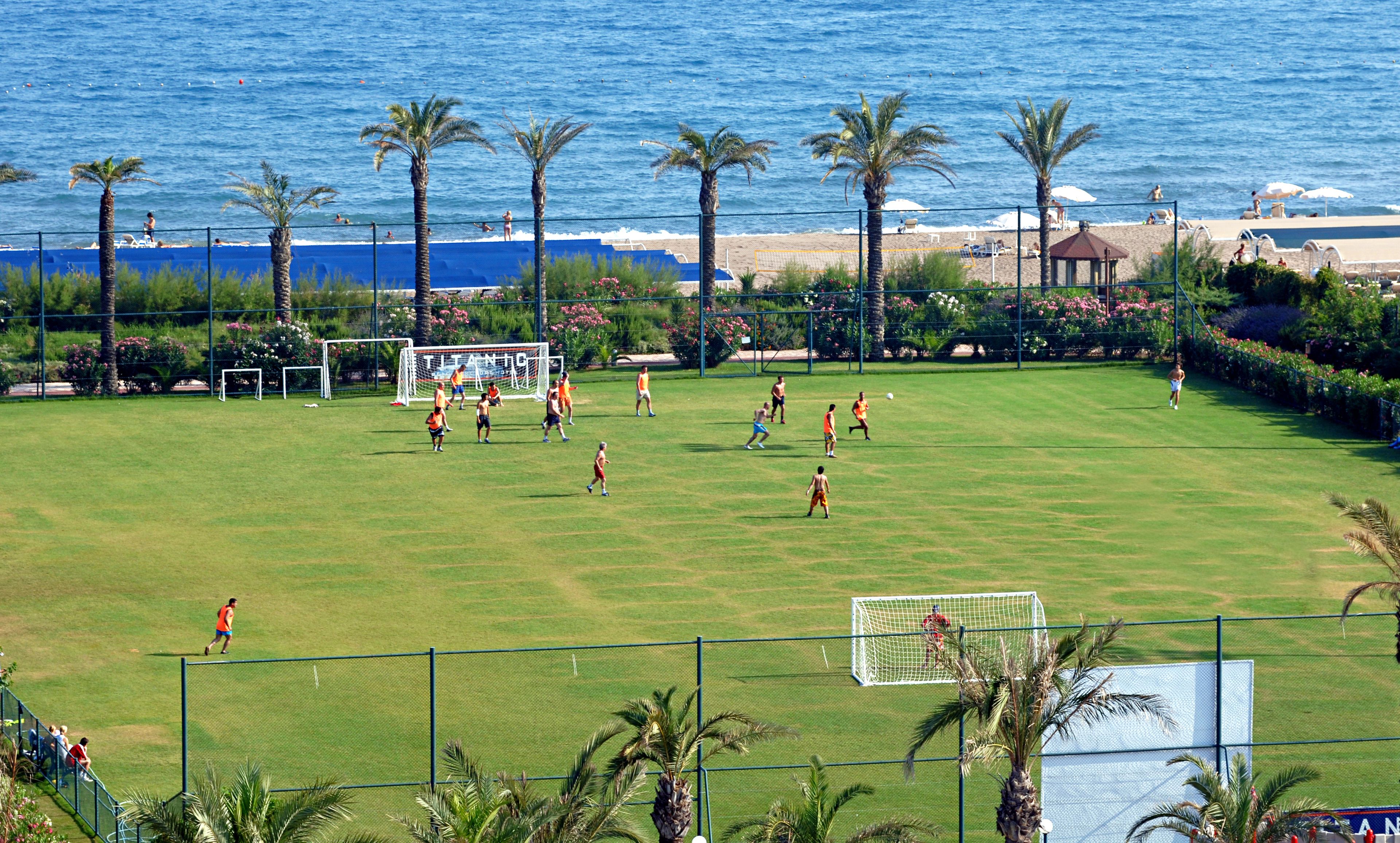 Ein Fußballfeld mit einem Tor, umgeben von Palmen und einem Strand im Hintergrund.