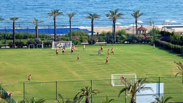 Ein Fußballfeld mit einem Tor, umgeben von Palmen und einem Strand im Hintergrund.