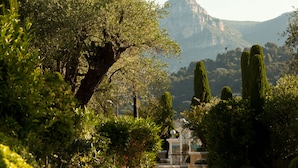A garden with various plants and a building in the background.