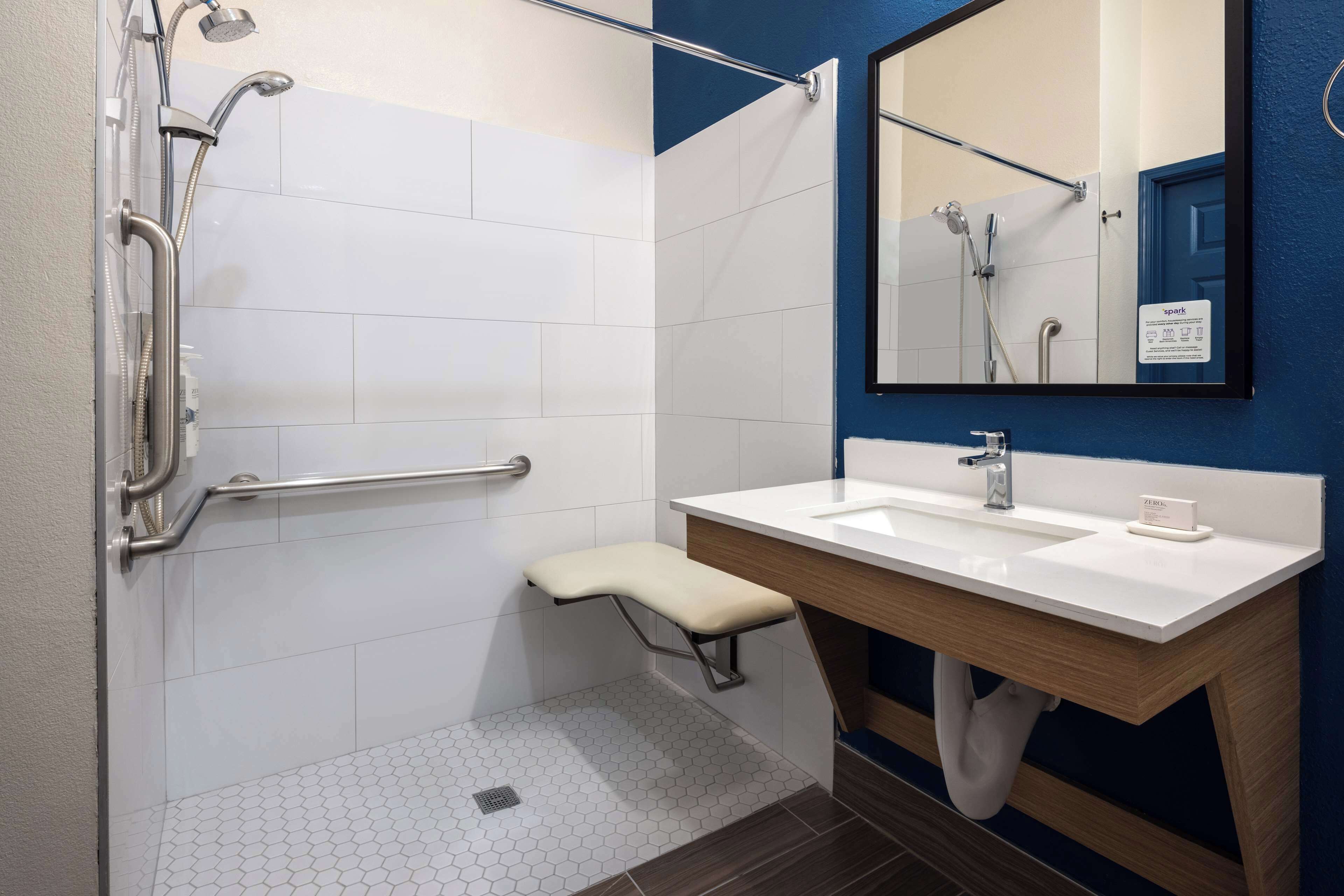 room, 1 king bed, accessible (mobility & hearing, roll-in shower) | bathroom shower