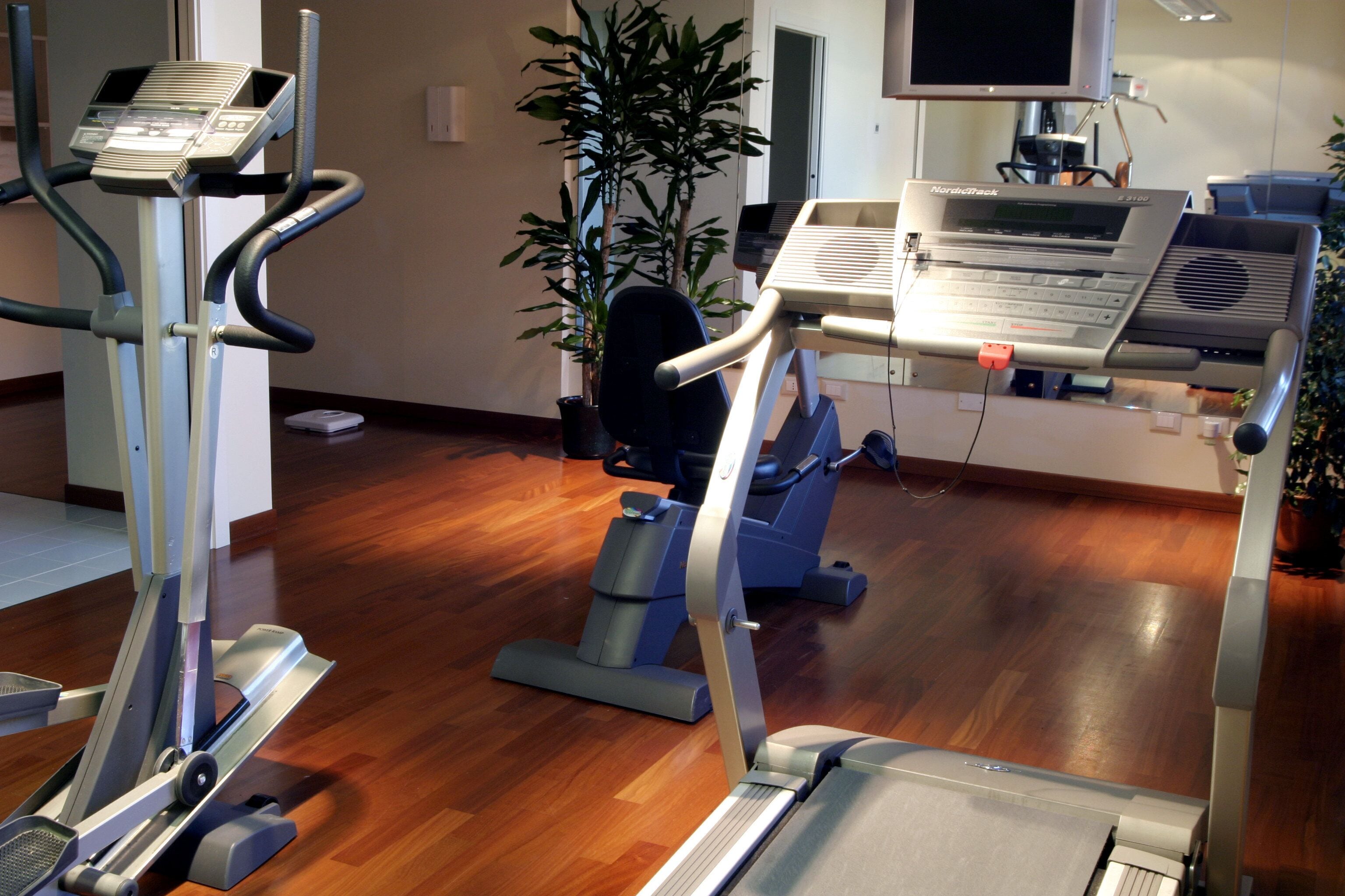 A fitness center with cardio machines, a television, and a potted plant.