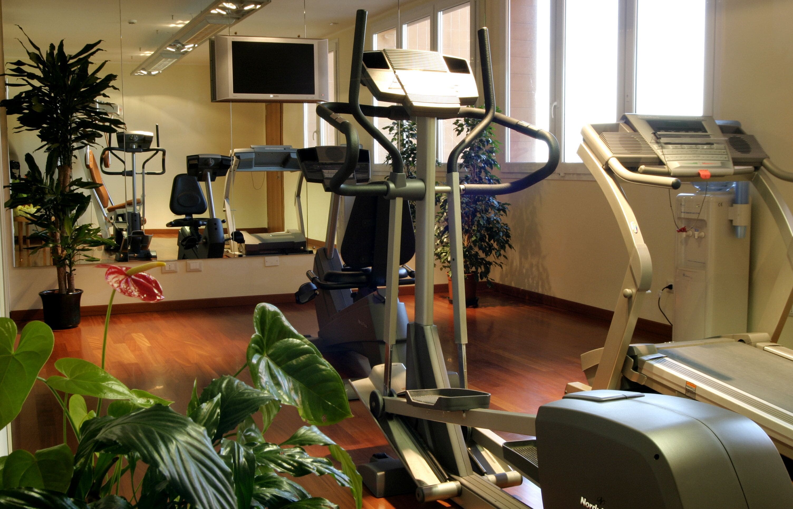 A fitness center with exercise equipment, a television, and potted plants.
