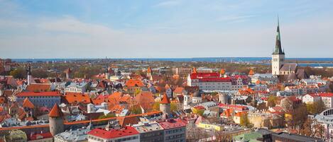 A cityscape with a prominent church tower, various buildings with red roofs, and a clear view of the surrounding area.