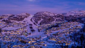 Skiing