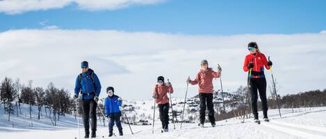 Um grupo de pessoas esquiando de fundo em uma trilha nevada, com árvores e casas ao fundo.
