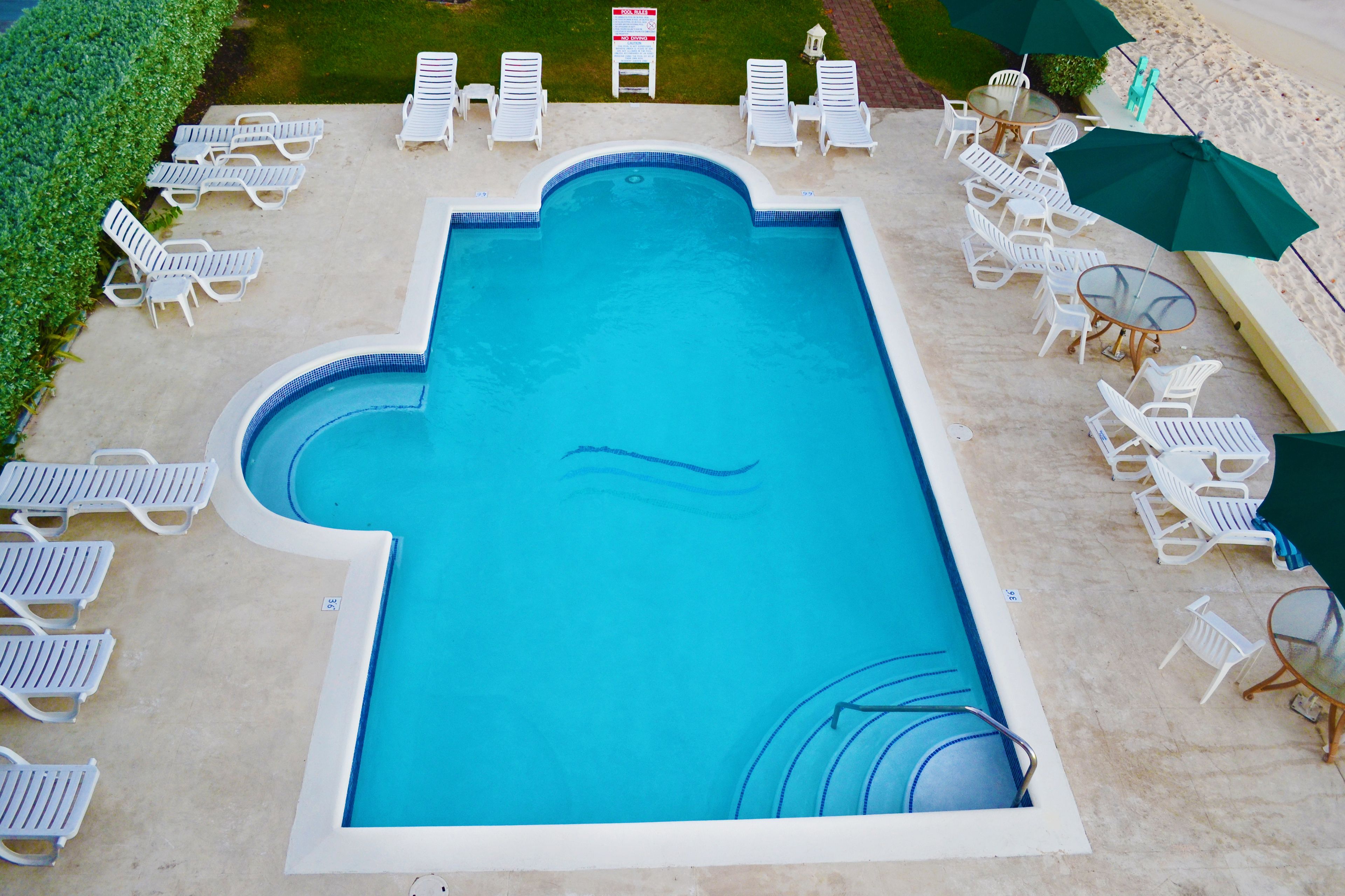outdoor pool, pool loungers