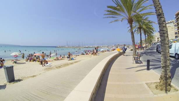 Een strand met palmbomen, een boulevard en een jachthaven op de achtergrond.