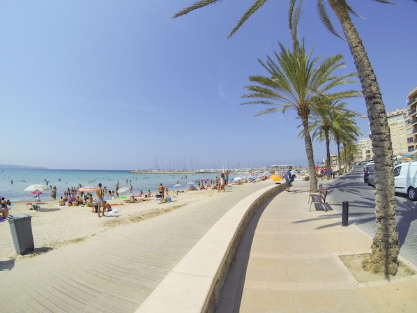 Plage à proximité, chaises longues, parasols, 20 bars de plage