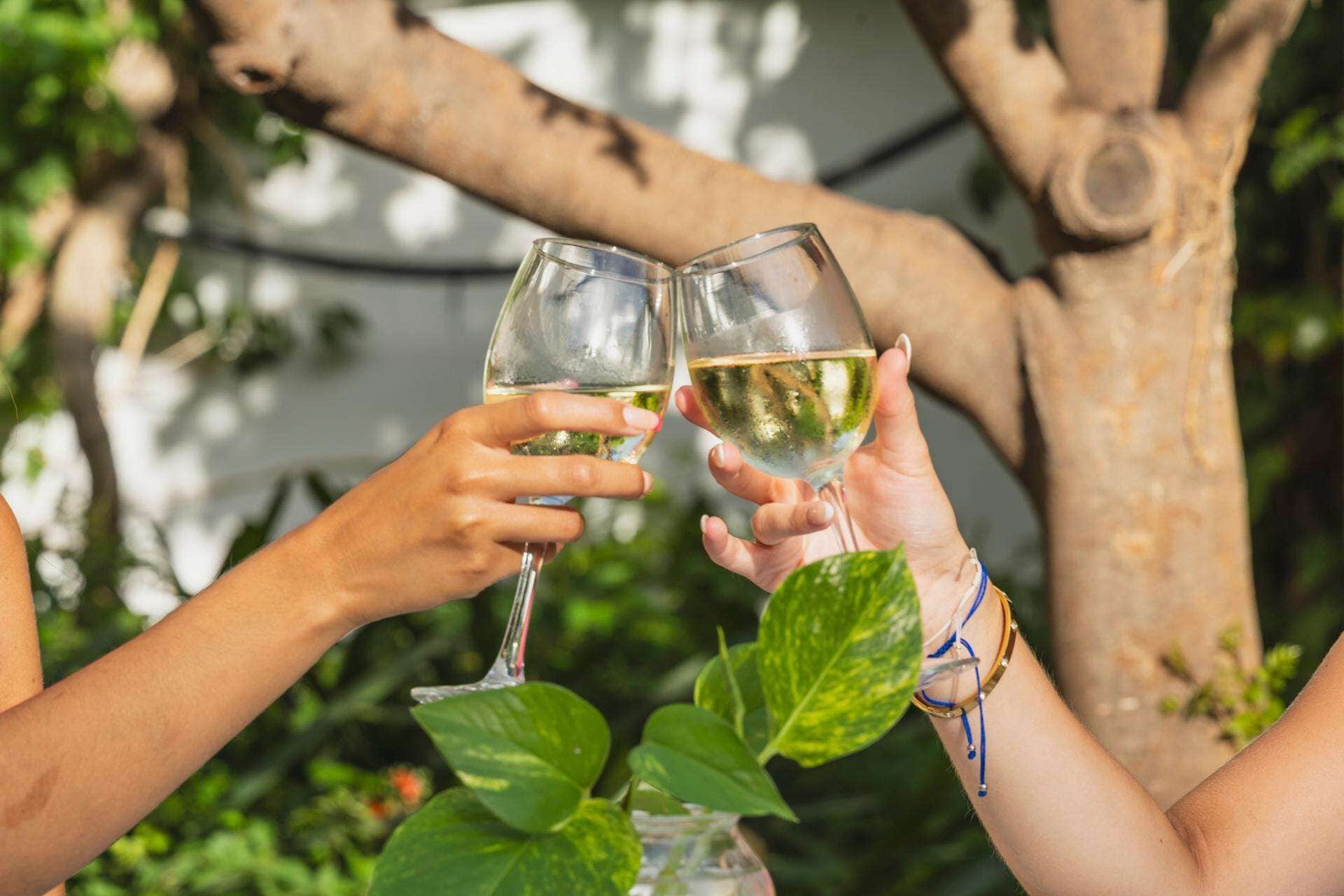 Two people holding wine glasses.