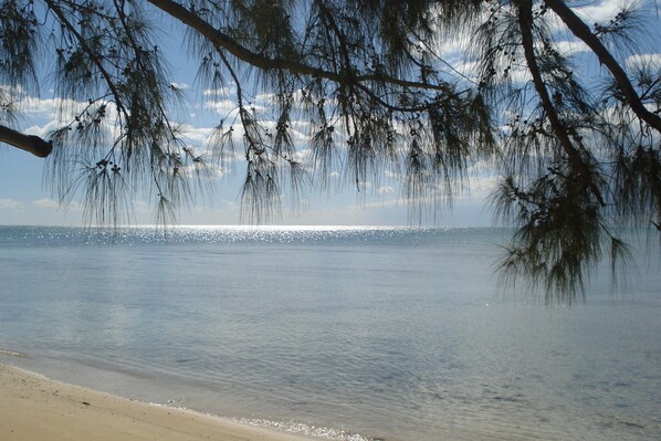 ใกล้ชายหาด, เรือยนต์