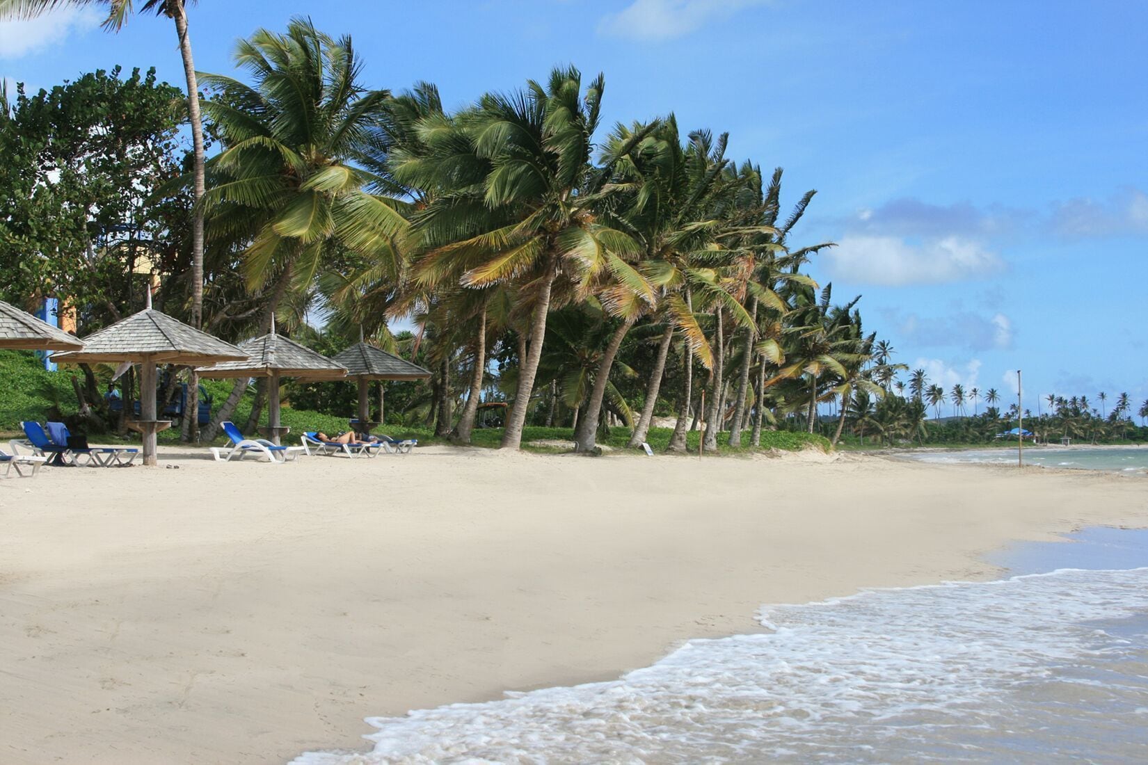 A beach with palm trees, beach chairs, and a gazebo.