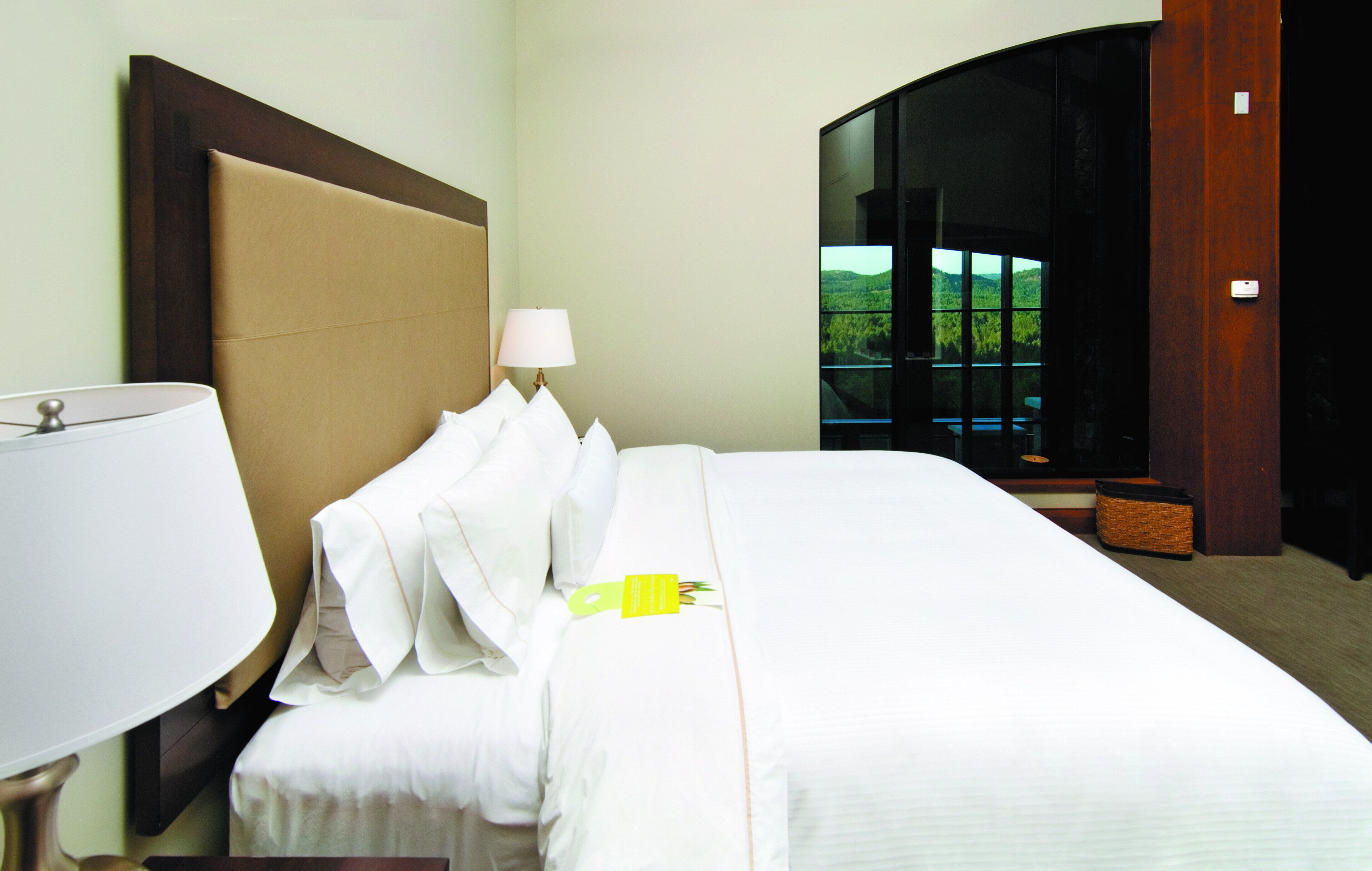 A hotel room with a large bed, a bedside table with a lamp, and a view of greenery through a glass door.