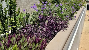 Um jardim no terraço com diversas plantas e flores, um edifício branco com uma placa indicando 'CGRILL EST. 2016', e um céu azul claro.
