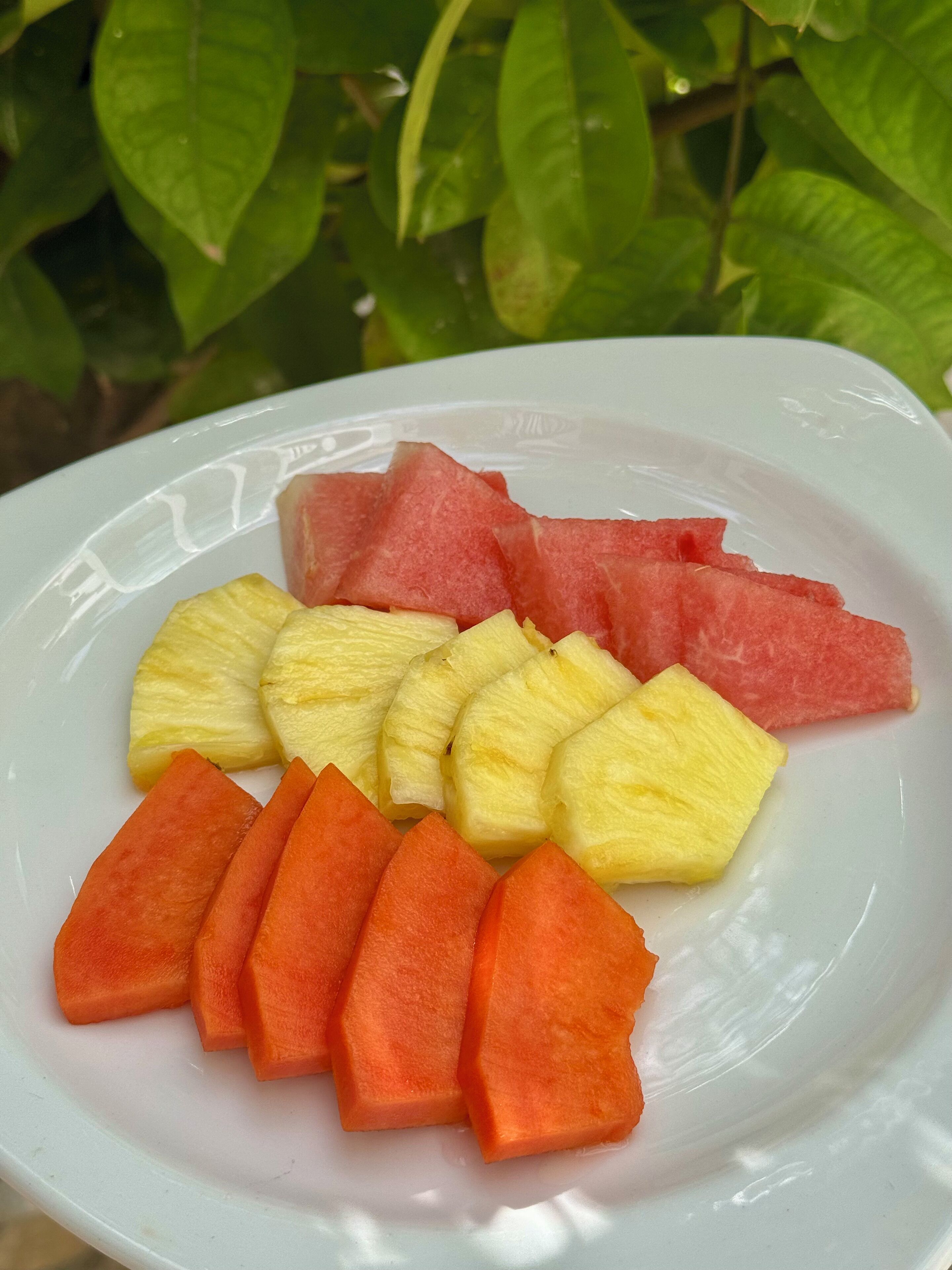 A white plate with slices of watermelon, pineapple, and cantaloupe.