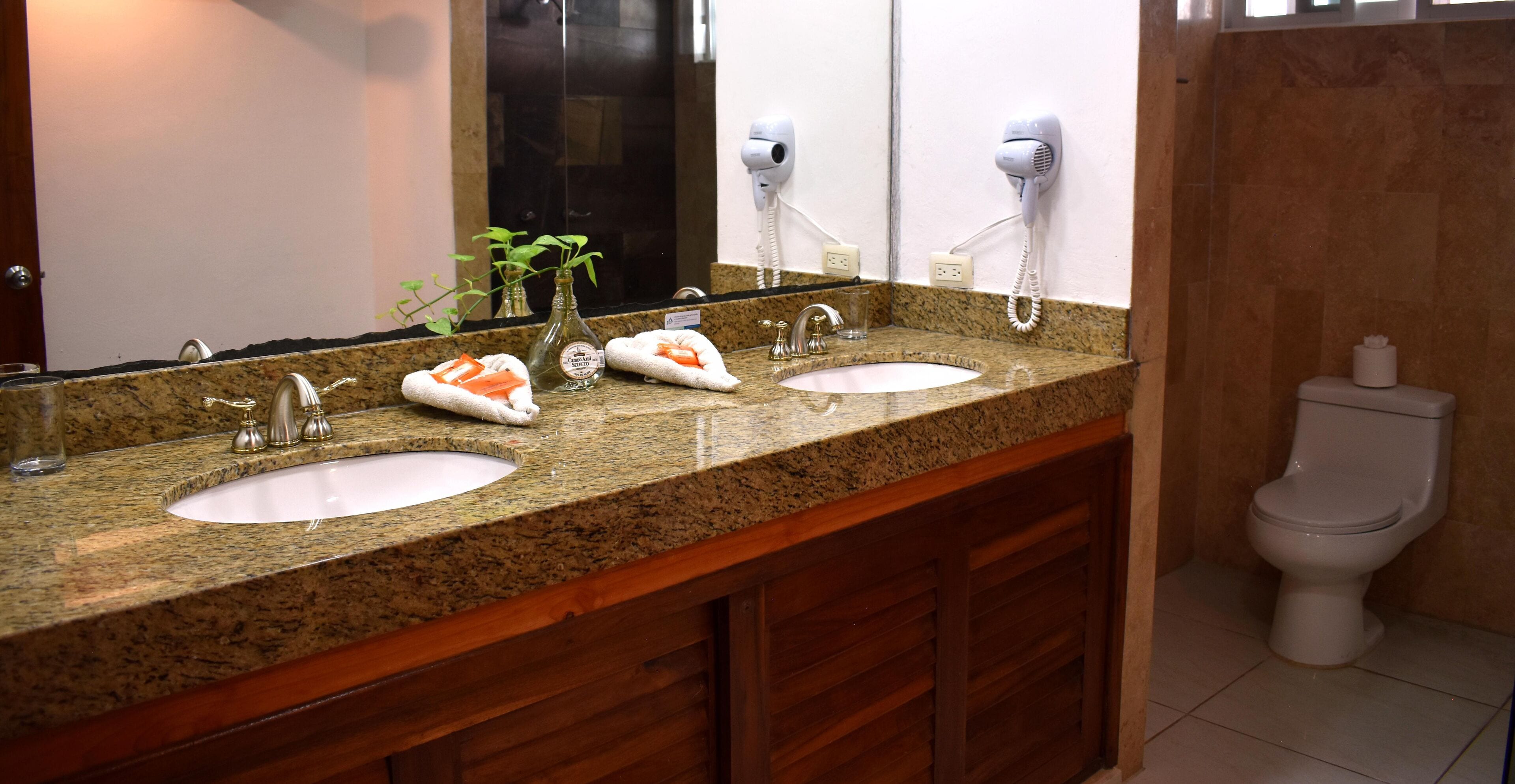 A bathroom with two sinks, a mirror, a hairdryer, and a toilet.